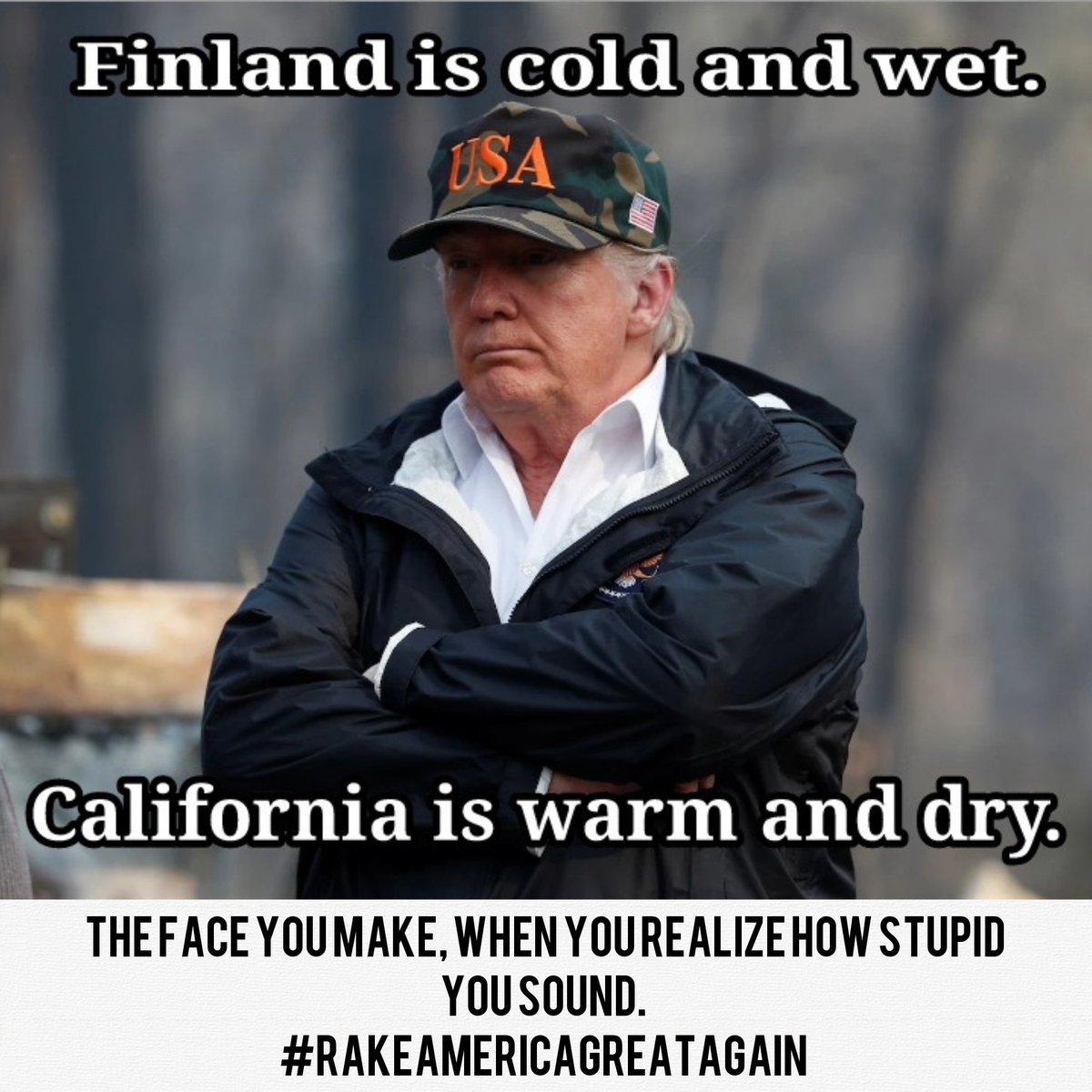 DjPapadopolis's tweet photo. #foresttrump #stupidisasstupiddoes #rakeamericagreatagain https://t.co/9LpukRIxfB