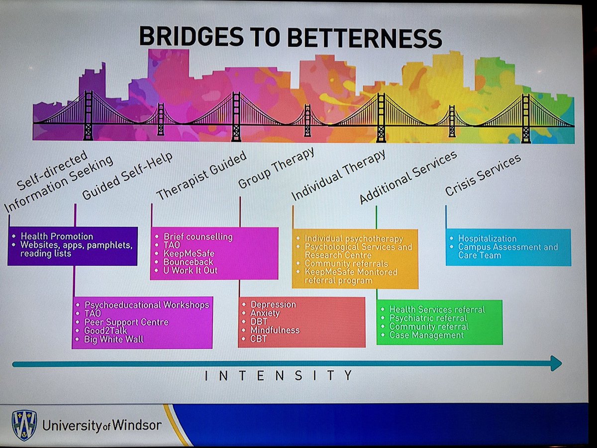 PollyALeonard's tweet photo. #steppedcaremodel from @UWindsor #CMHInnovation https://t.co/QDsg9hKpeK