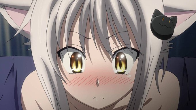 11月23日は塔城小猫の誕生日のtwitterイラスト検索結果 古い順 11月23日は塔城小猫の誕生日のtwitterイラスト検索結果 古い順