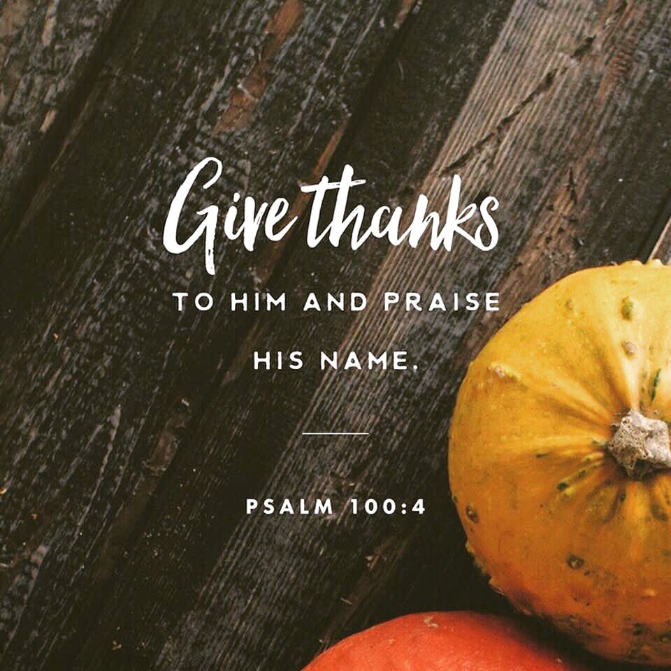 adavillechurch's tweet image. Happy Thanksgiving from #Adaville “As we express our gratitude, we must never forget that the highest appreciation is not to utter words, but to live by them.” – John Fitzgerald Kennedy
