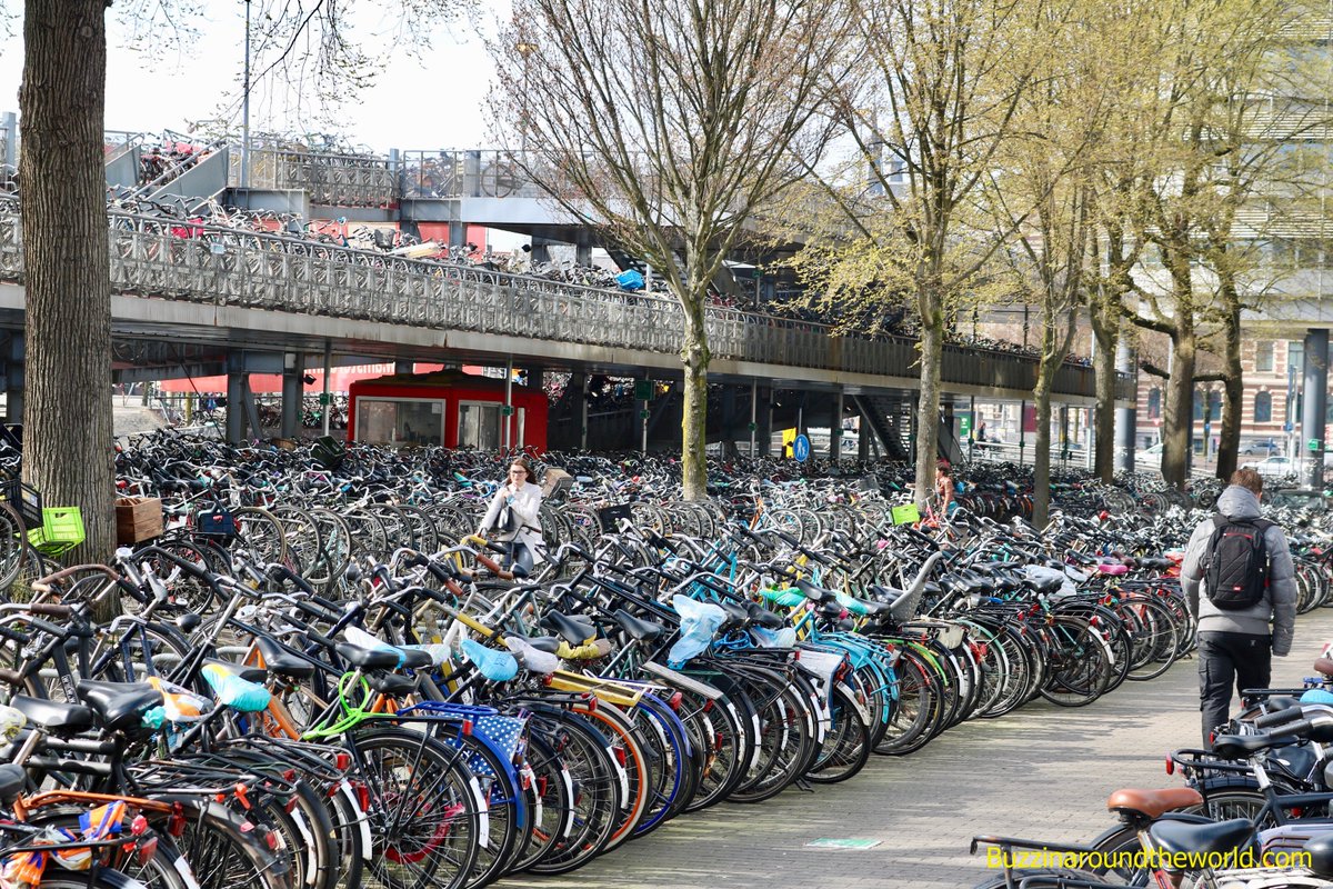 BuzzTravelBlog's tweet photo. Where did I park my #bike? #Amsterdam is so well suited for riding a #bicycle. The trick is to remember where yours is parked. #Netherlands #greentravel #solotravel #ridingaround #travelblog #travelblogger #followme #buzzinaroundtheworld.com https://t.co/hw709l7mZK