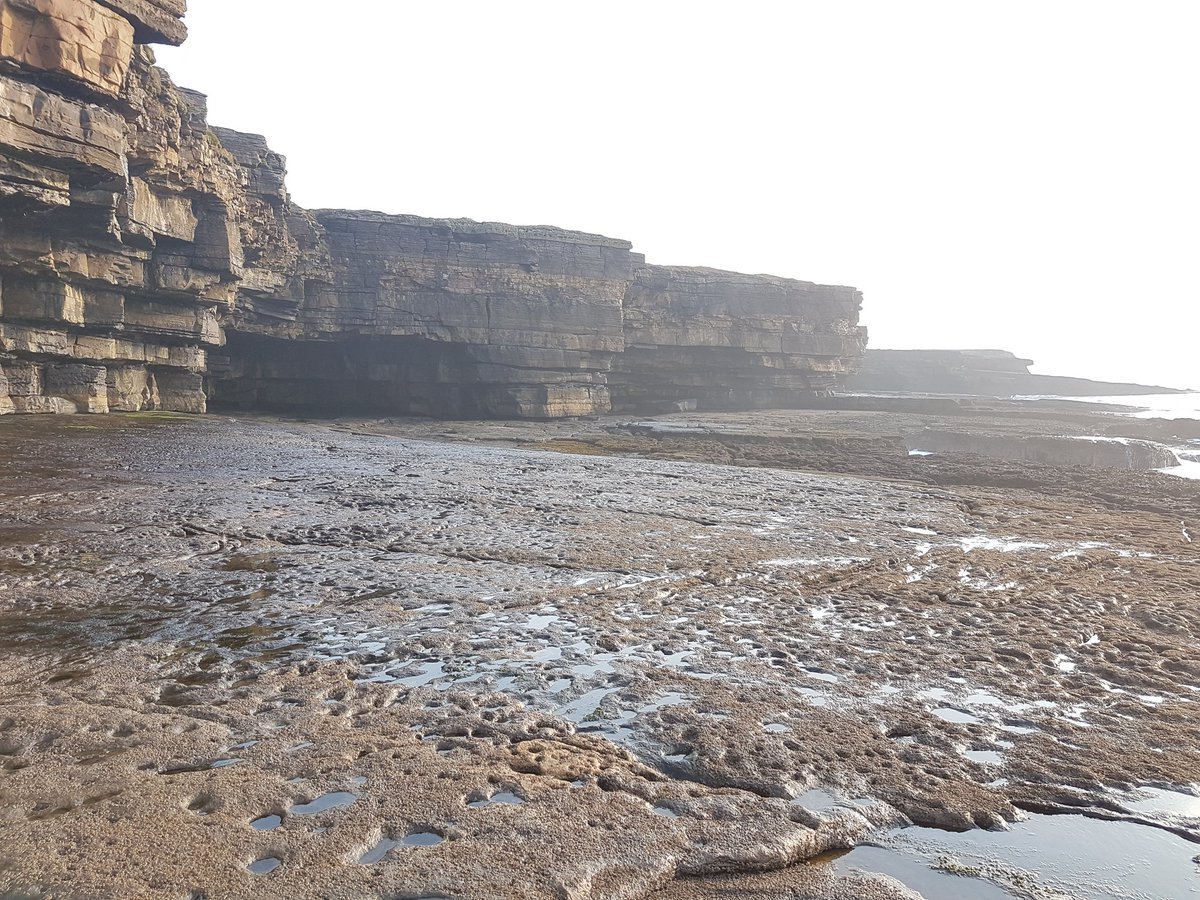 GsiGroundwater's tweet photo. Great weather for November fieldwork in #Donegal! Last #TZThursday trip of the year. Here are some beautiful Lwr Carb sandstones https://t.co/g862a5oSVk