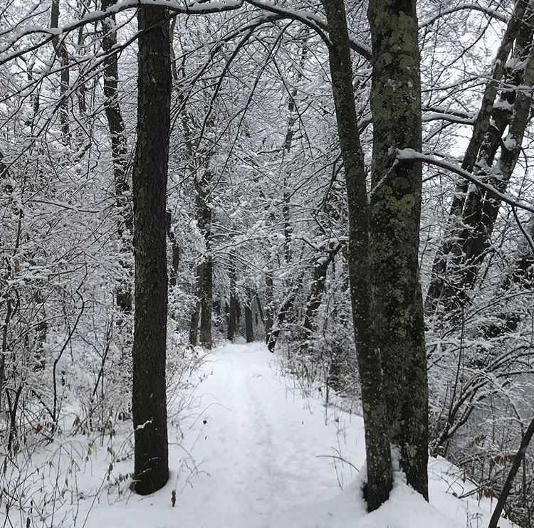 portlandtrails's tweet photo. This Thanksgiving, the Portland Trails team extends our gratitude to all our members, volunteers, donors, friends, and collaborators who are part of this incredible community connected by trails and green spaces we call home. #portlandtrails #thankyouportland https://t.co/kikCOFqpGV