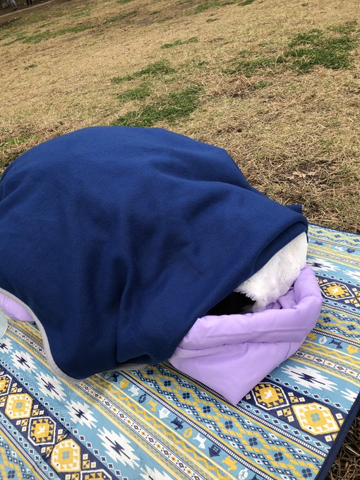 Twitterのコスプレ画像2