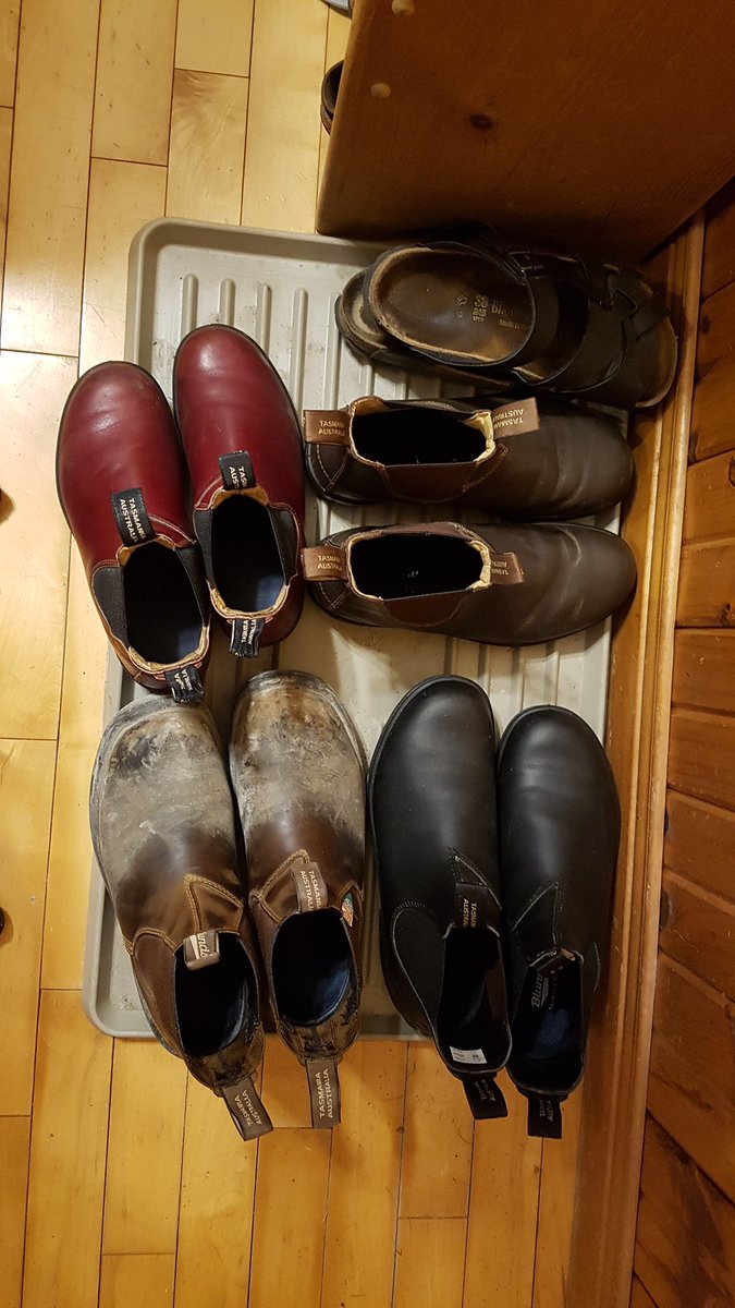 blundstone kitchen shoes