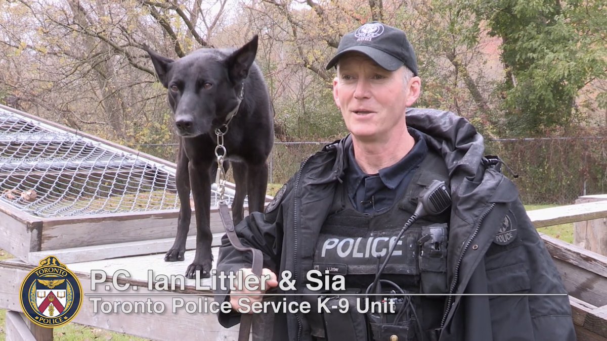 police dog services