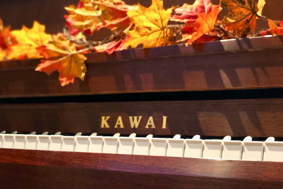 HAPPY THANKSGIVING!! 🍗 We’re thankful for all of you music makers. 🎺🎸🎹🥁🎻🎷 Schmitt Music stores are closed today (11/22) and open for Black Friday. #KawaiPiano