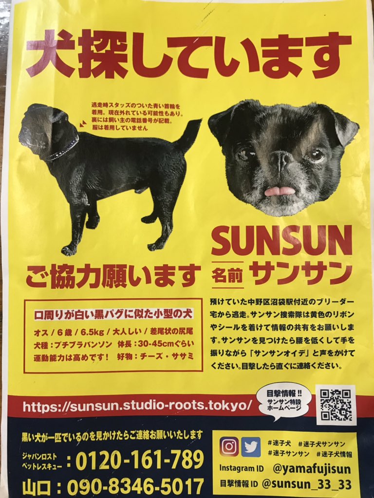 √完了しました！ サンサン 犬 148211サンサン 犬 Freemuryoxmt3hy