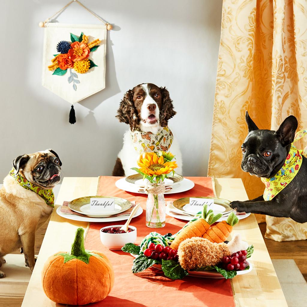 Who else wouldn't mind sitting at this dog table? 

#HappyThanksgiving from the Chewy family to yours. 🦃🍂