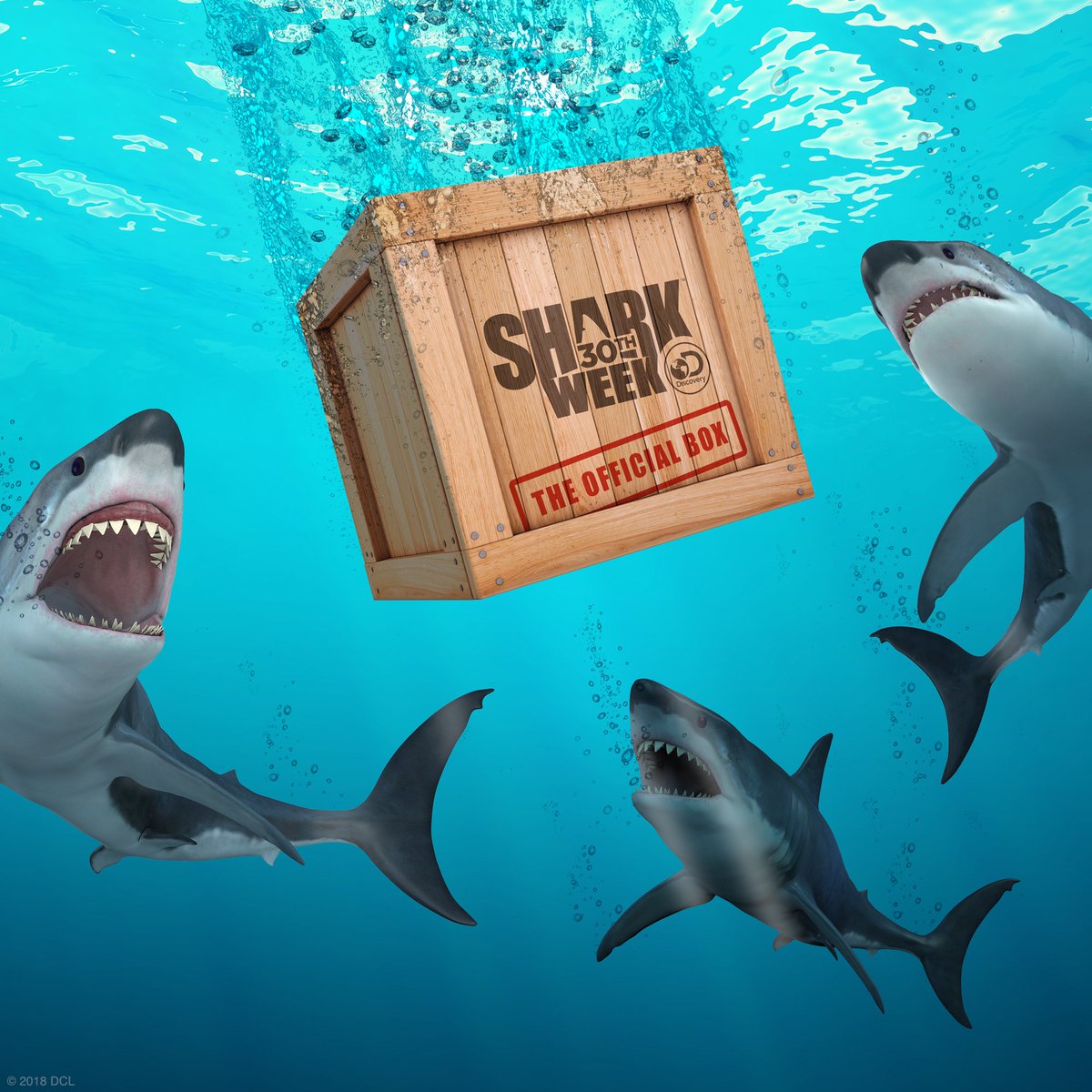 theSharkWeekBox's tweet image. Thankful for Shark Week™? Snag our jaw-esome Black Friday deal a day early exclusively through this link: shrkbx.com/2DQGLp8