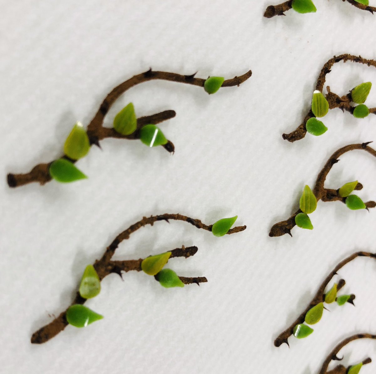 <a href="/compassgroupuk/">Compass Group UK & I</a> <a href="/BCFChefs/">BCF Chefs</a> <a href="/chefSimonwebb36/">Simon Webb</a> <a href="/Sponge_monkey1/">Andrew ditchfield</a> <a href="/nathan_aldous/">nathan aldous</a> <a href="/clark9462/">clark crawley</a> <a href="/Jamie_gibbs01_/">Jamie Gibbs</a> <a href="/Sponge_monkey1/">Andrew ditchfield</a> <a href="/davey_ds/">David Davey-Smith</a> <a href="/IanMark28068338/">Ian Mark</a> @robkennedy0 <a href="/robertwelchuk/">Robert Welch Designs</a> things are starting to take shape #cwc18 Luxembourg