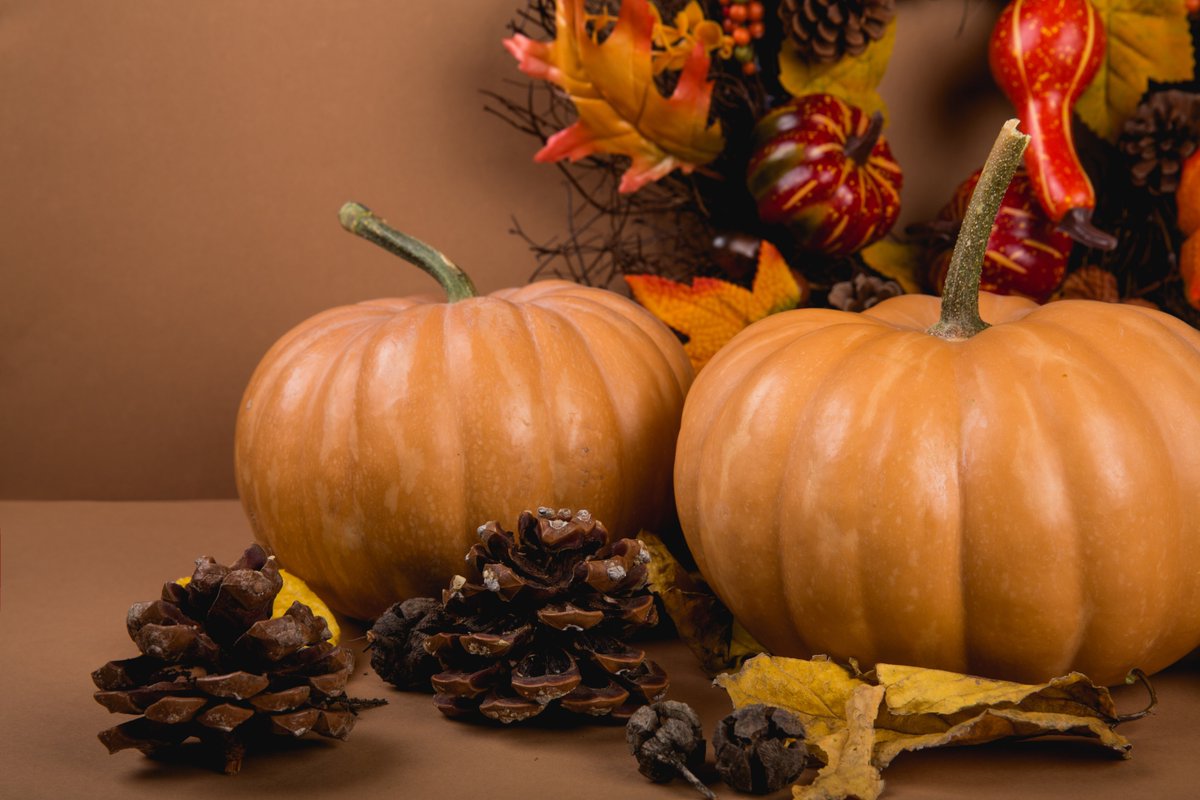 leapthepond's tweet photo. We are extremely thankful to have wonderful clients, partners, and colleagues. From everyone at Leap the Pond, we wish you nothing but the best this Thanksgiving! https://t.co/HoVWS2JdxH