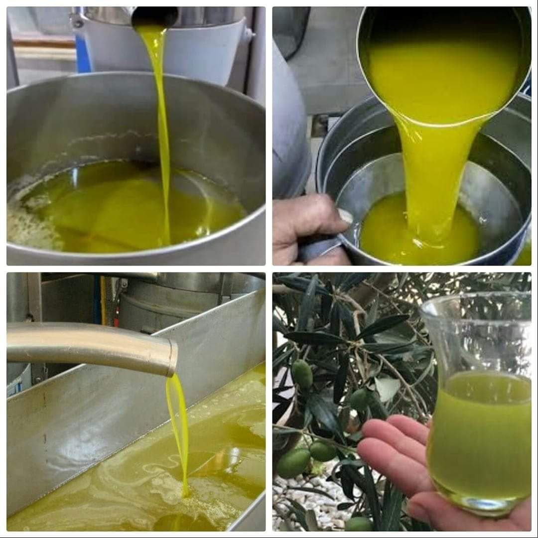 HasanTaskin18's tweet image. ORGANİK ZEYTİNYAĞI satışımız başlamıştır