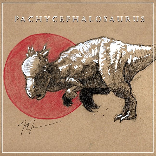 JJaxon71's tweet photo. Have a happy Thanksgiving, spend time with those you love and love you in return. Here's a pachycephalosaurus because those and holidays go so well together. #pachycephalosaurus #dinosaur #drawdinovember2018 #drawingdinosaurs #thickheaded #paleoart #artoninstagram #drawing https://t.co/YeYU4swELI