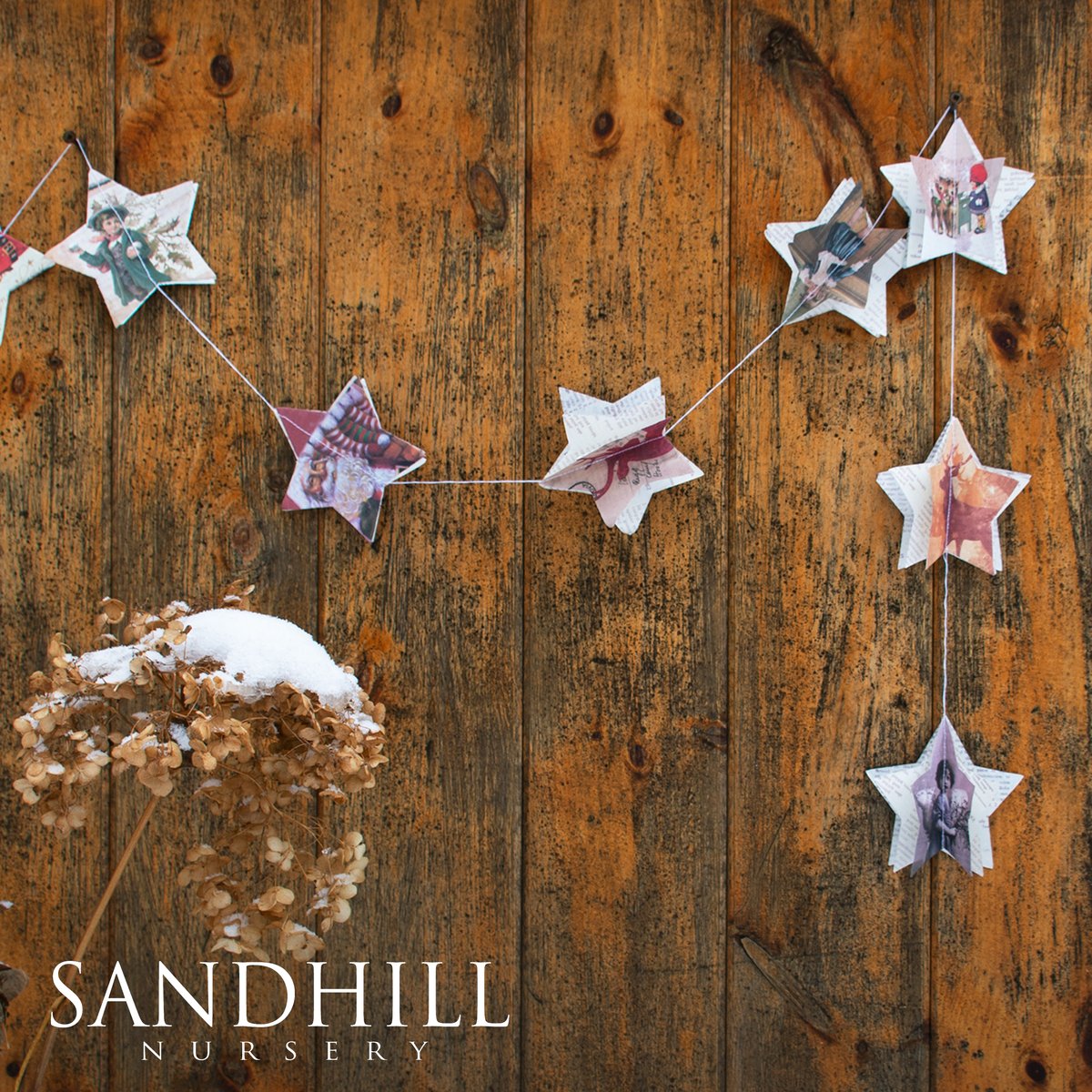 sandhillnursery's tweet image. From our new favourite decor collection: Paper Stars &amp;amp; Trees! ⭐️🌲
Add some flair with classically whimsical garlands! These trees and stars will add a touch of nostalgia and plenty of charm to your tree or window sill. #paperdecor #trendychristmas #papertrees #paperstars
$4.99