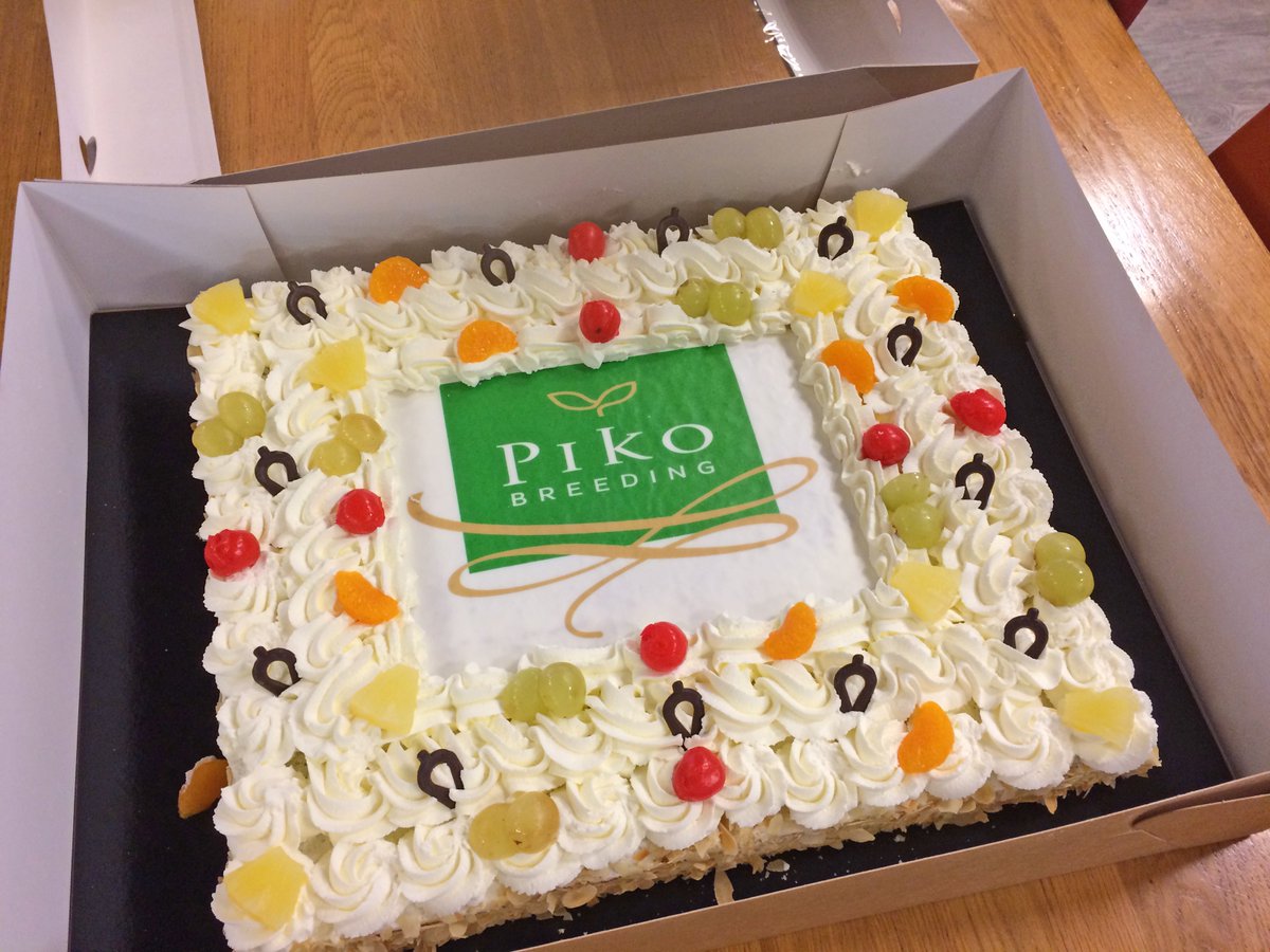 Piko Plant We Have Something To Celebrate Pikobreeding The Breeding Division Of Pikoplant Is A Fact We Are Now Growers And Breeders Officially Launched At The Rfhtradefair Celebrated Today With