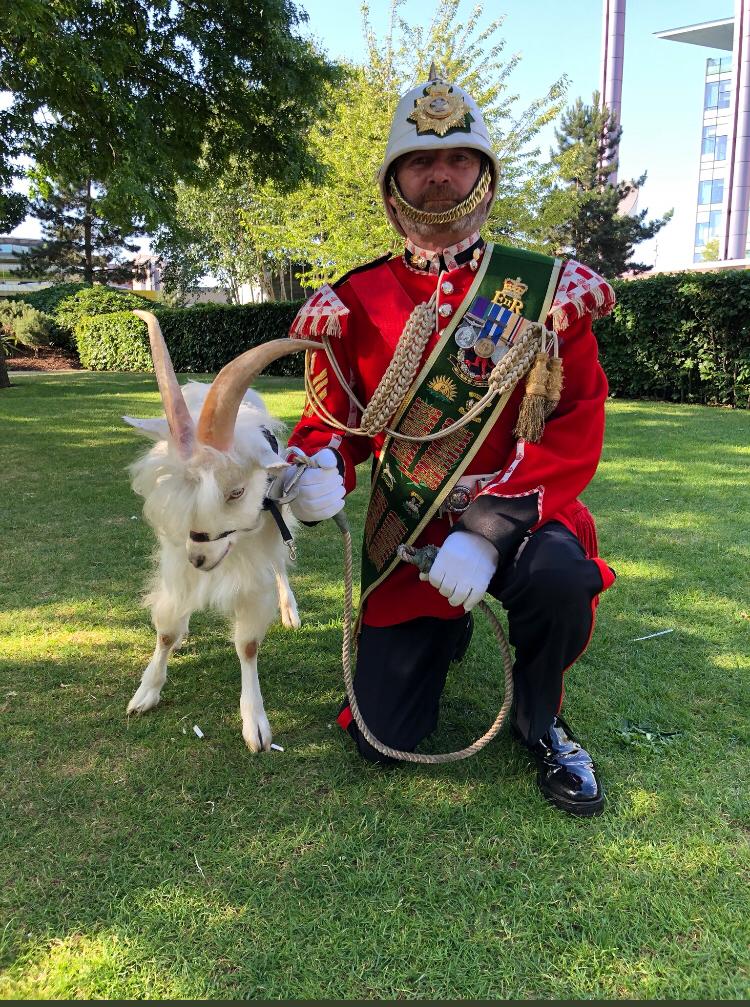 Off to the Wales and the  Employer Recognition Awards <a href="/StFagans_Museum/">Sain Ffagan | St Fagans</a> tonight. Another great venue and occasion.
More pictures later 🐐
<a href="/RFCAforWales/">RFCA for Wales</a> 
@Army_Wales 
<a href="/TheRoyalWelsh/">The Royal Welsh</a>