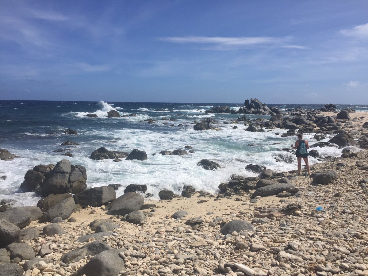 Hompke's tweet photo. Day 5 Westpunt Beach no swimming #abeachaday #happythanksgiving https://t.co/y409fxl3G2