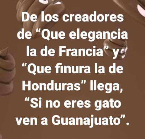 hafsa_hadarah's tweet photo. Así las cosas con el alcalde de Guanajuato
#Guanajuato https://t.co/XwPFX5vOQ1