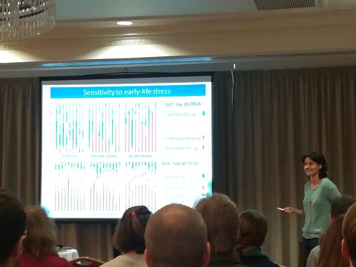 Nice talk about the effects of stress in microbiome by <a href="/TamsynUW/">Tamsyn Uren Webster</a> in the ARCH-UK Finfish and Shellfish Microbiome Workshop #aberdeen #microbiome #swanseauni #workshop #ARCHUK with <a href="/EcologyImages/">Dr Frances Ratcliffe 🇪🇺⭐</a> <a href="/QEmma93/">Emma Quinn</a>