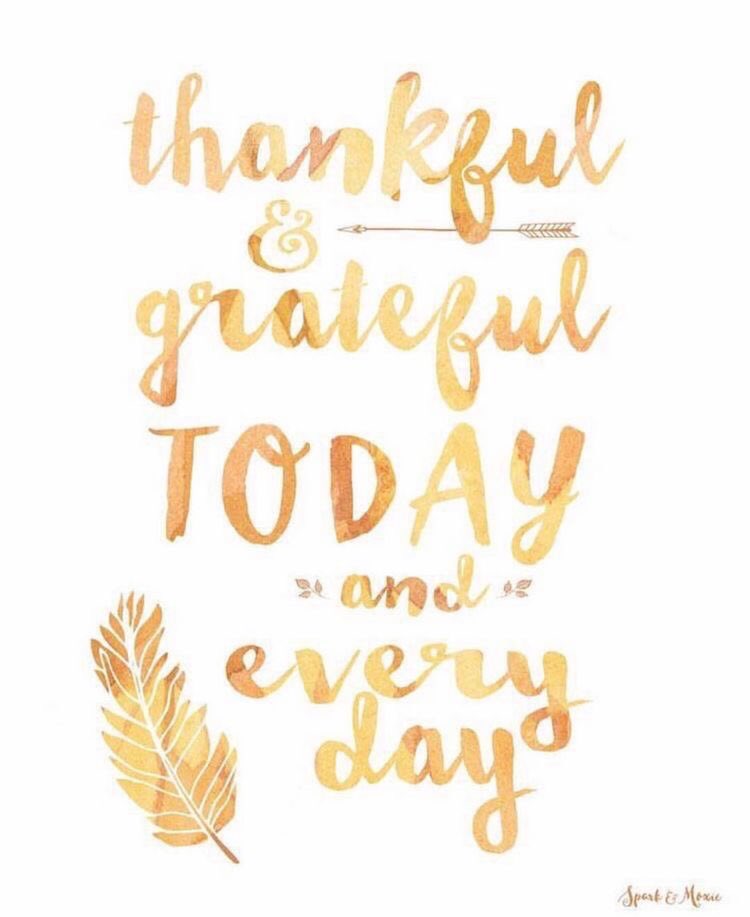 hypelocker's tweet image. Today is about giving thanks. We are thankful for all of our supporters. Thank you! Wishing everyone a safe &amp;amp; Happy Thanksgiving!!! #Thankful #HappyThanksgiving artist: spark &amp;amp; moxie