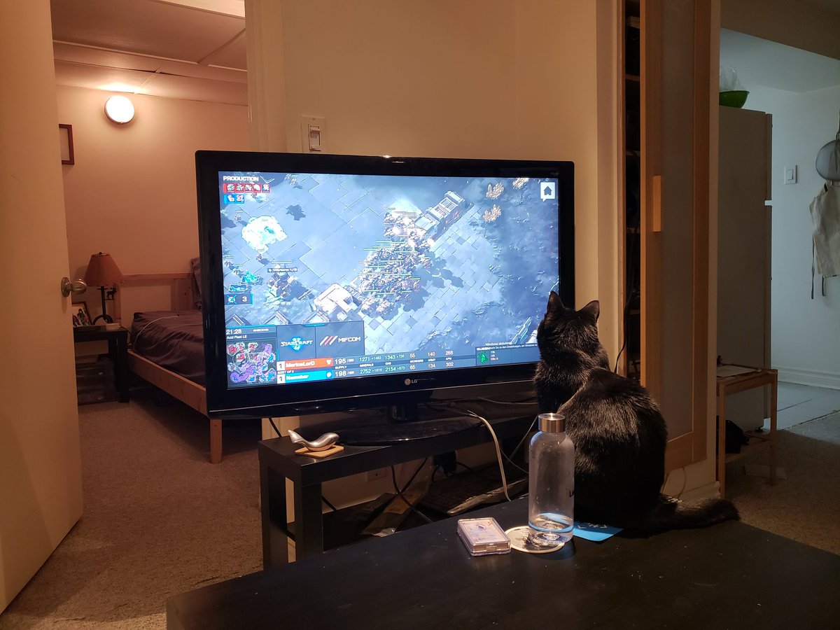 Cosmo can't take his eyes off HomeStory Cup either. #SC2 <a href="/TaKeTV/">TaKeTV</a>