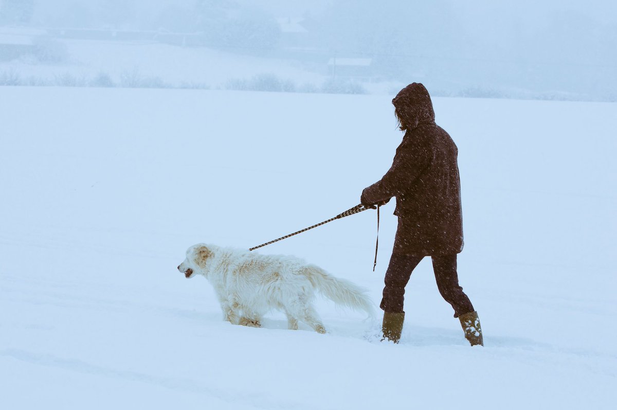 Varley_Charlie's tweet photo. #petsfandango Winter is coming https://t.co/lozHqR84LX