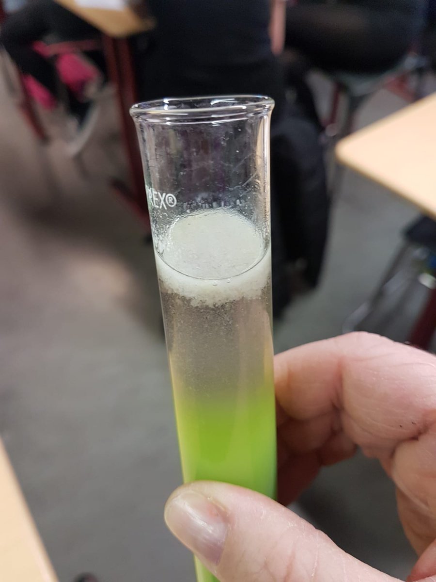 BannermanScien1's tweet photo. S2 Extracting DNA from peas! https://t.co/tkqpk5sMDb