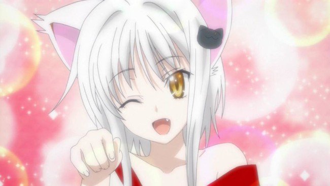 11月23日は搭城子猫の誕生日のtwitterイラスト検索結果 11月23日は搭城子猫の誕生日のtwitterイラスト検索結果