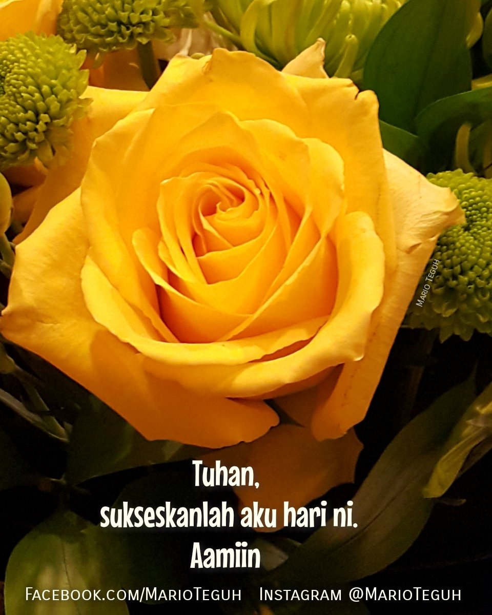 Mario Teguh tweet media