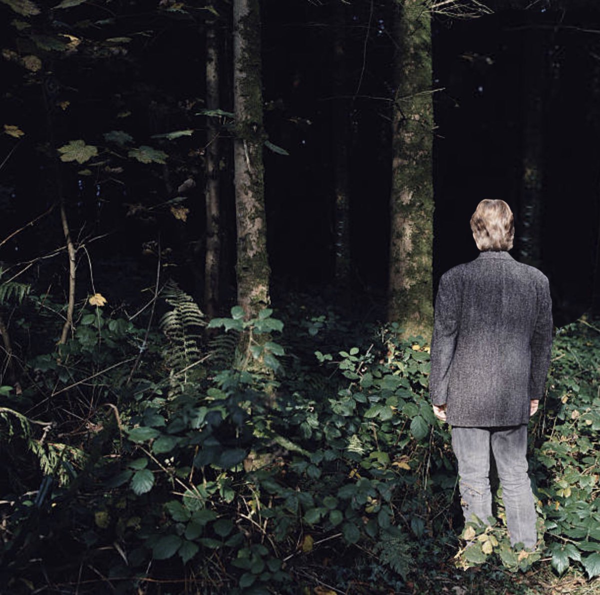 The ‘Edmonds in the woods diptych’ rerelease