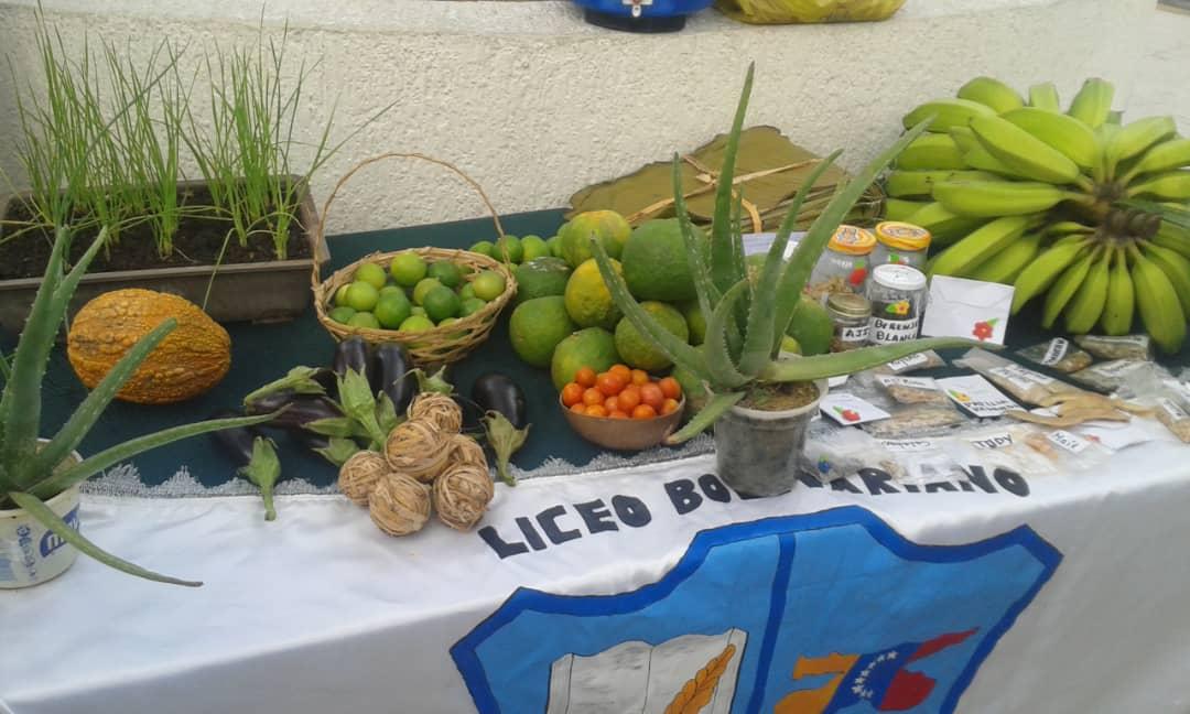 red13sucre's tweet photo. Liceos del Municipio Sucre dijeron presente en #MuestraProductiva Circuito 15 #Cantarrana... Mostrando el trabajo pedagógico y productivo del territorio @karsanc @MPPEDUCACION @LiceoCantarrana @psuvaristobulo @prensazees @salaeje01 @divnnpneesebes @ptmssucrenueva https://t.co/XaE2l6anIp