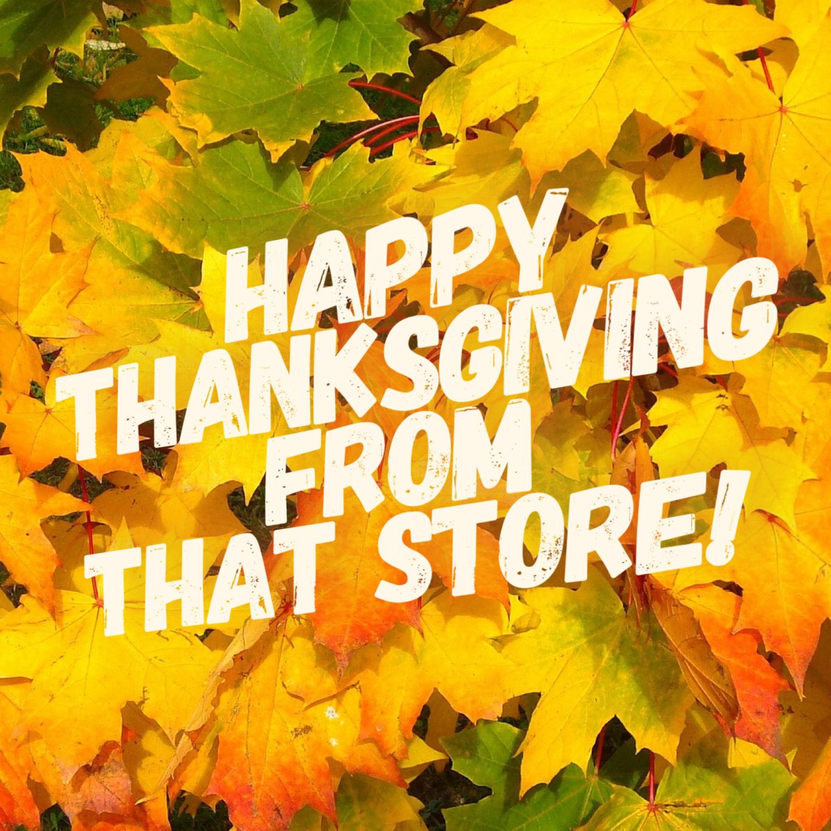 thatstorealbany's tweet photo. Happy Thanksgiving!
We’ll see you tomorrow at 11am, for great deals all weekend long! https://t.co/C7SgLU8urQ