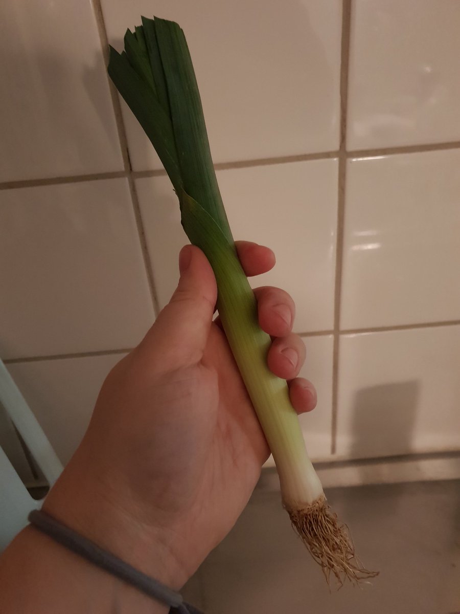 HannasTankar's tweet photo. Äntligen en purjo lagom stor för oss singlar! #vardagsproblem #matsvinn https://t.co/4prRQ28wo3