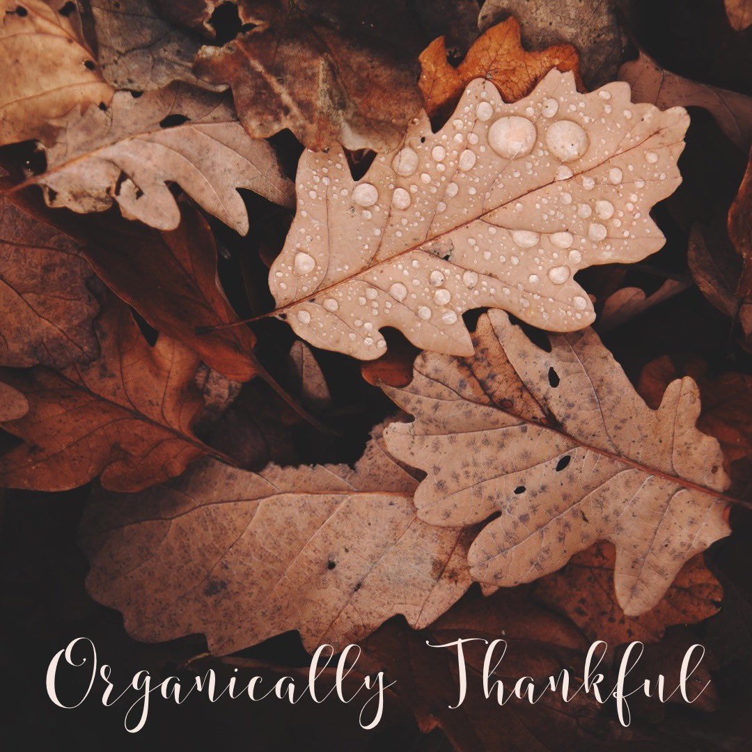 #HappyThanksgiving #organic