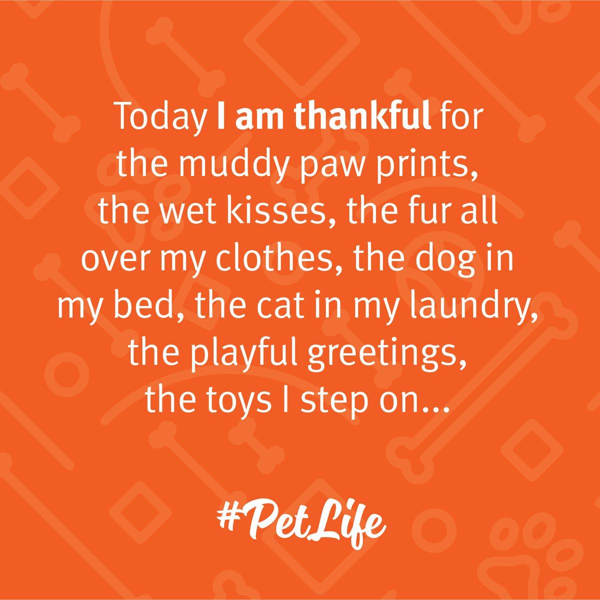 We can't possibly fit all of the things our pets make us thankful for in one post! What would you add? 

Happy #Thanksgiving! #Gratitude #Pets