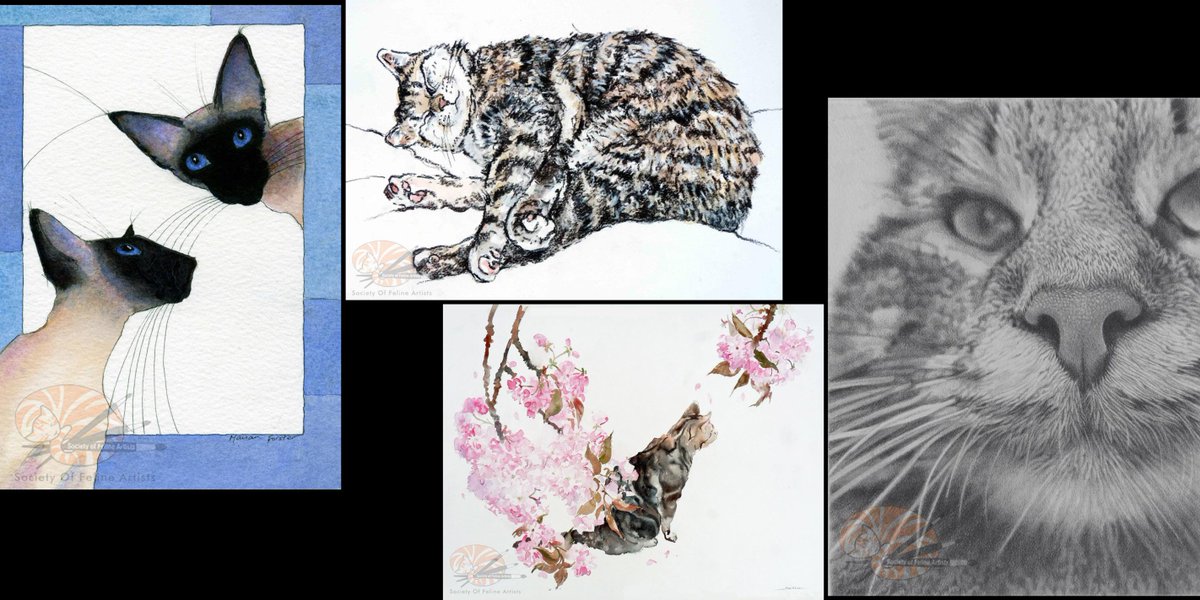 BathCDH's tweet photo. Frome peeps make sure you catch #thecompletecat exhibition at Rook Lane Gallery from 24th - 8 December (closed on Mondays!) with profits going to the lovely @iCatCare charity.
https://t.co/XrFkLEIZA8
#frome https://t.co/o3nCrvhcbv