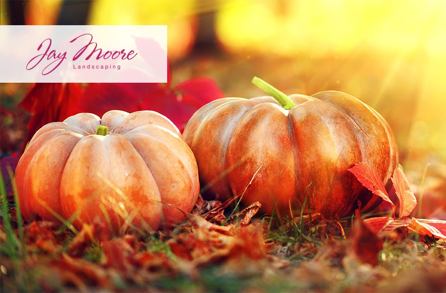 JayMooreOmaha's tweet photo. Happy Thanksgiving! We are so thankful for our clientele and your referrals. It's why we're in business and able to do what we love each and every day. Enjoy the day and lovely fall foliage with your families and friends! https://t.co/hn9KcY5QZx