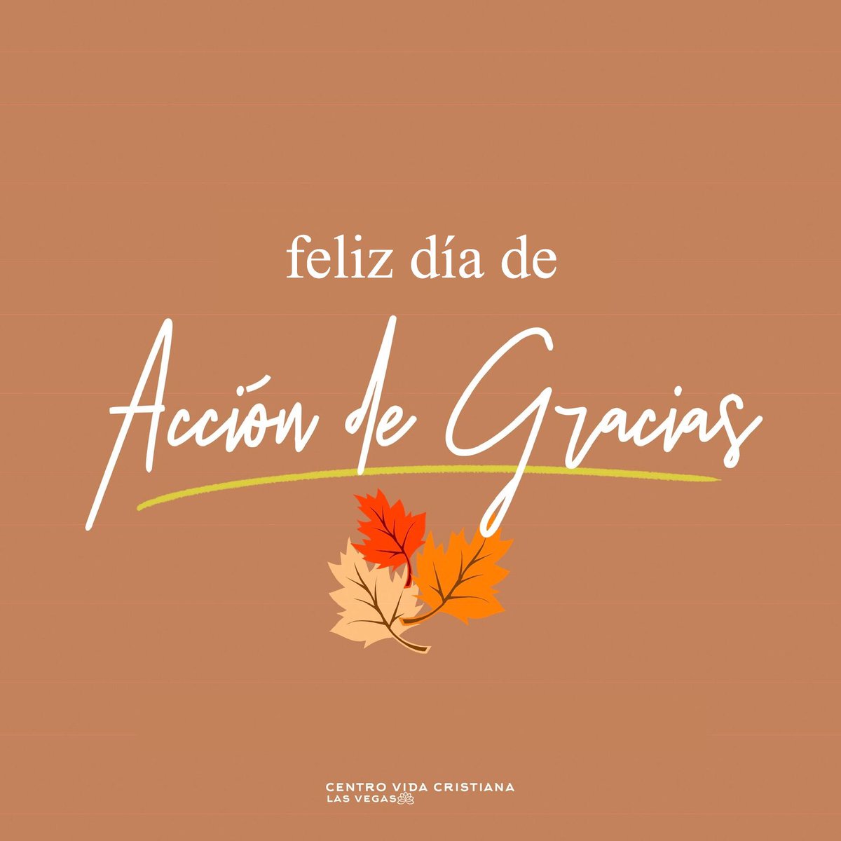 Centro Vida LV on Twitter: Centro Vida LV on Twitter: