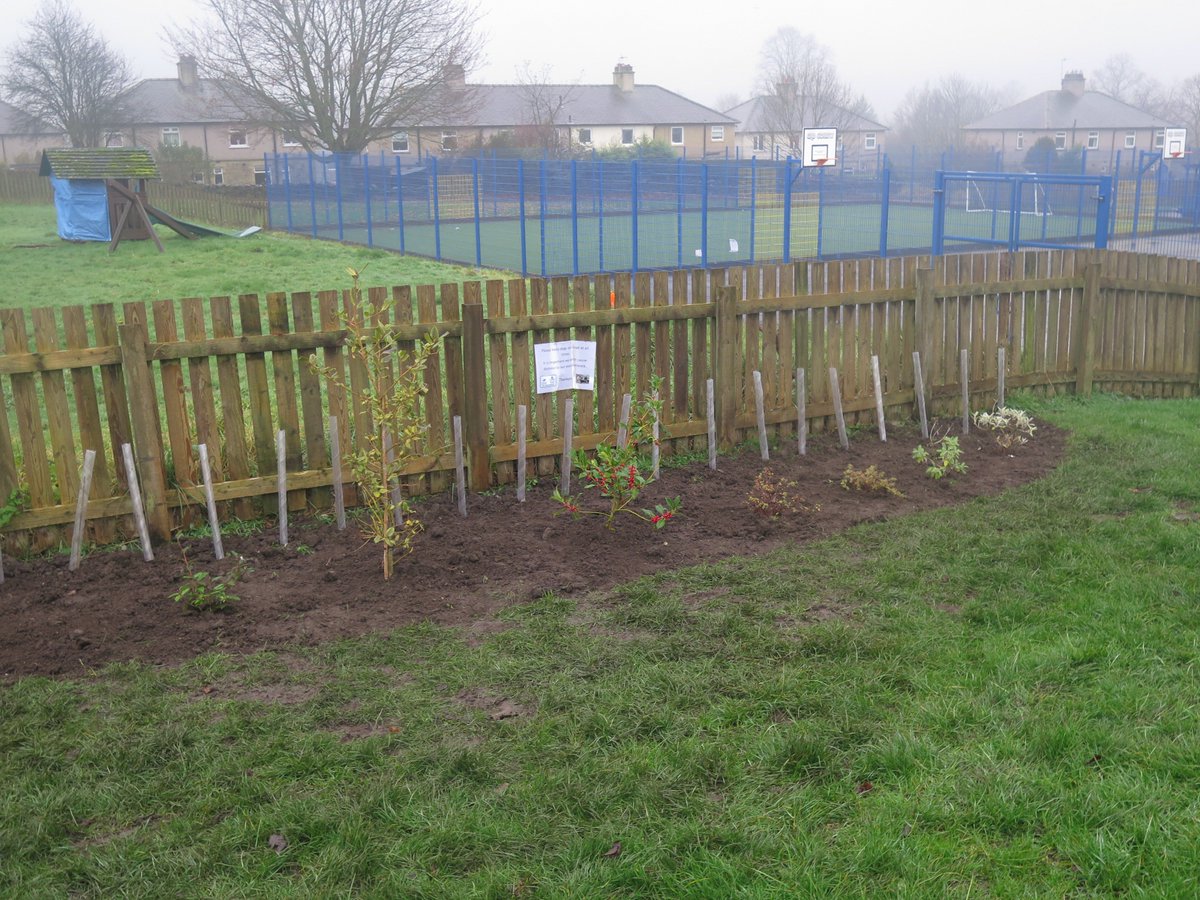 🌲Amazing effort from all our children today, planting the trees donated by the Woodlands trust &amp; Woodbank nursery!😁 Thank you to our amazing volunteers from @NTEastRidd and <a href="/Woodlandmel/">Mel Woodland</a>  for your expert help! All the children have thoroughly enjoyed today! 🌲🌳😄