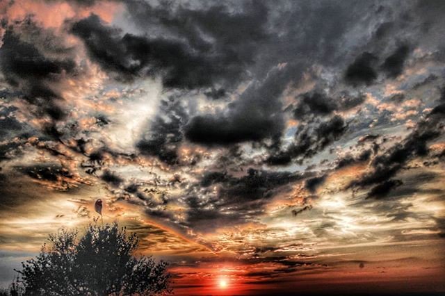 MarkJackson873's tweet image. Reposting @nbienvenuphotography:
Origin

#promode #manual #leicalens #huaweip20pro #p20protho #sunset #france #maison #lotetgaronne #acquitaine #famille #family #roots #racines #sunsetlights #southwest #sudouest #voyage #travel #travelgram #travels #travelvibes #travelphoto