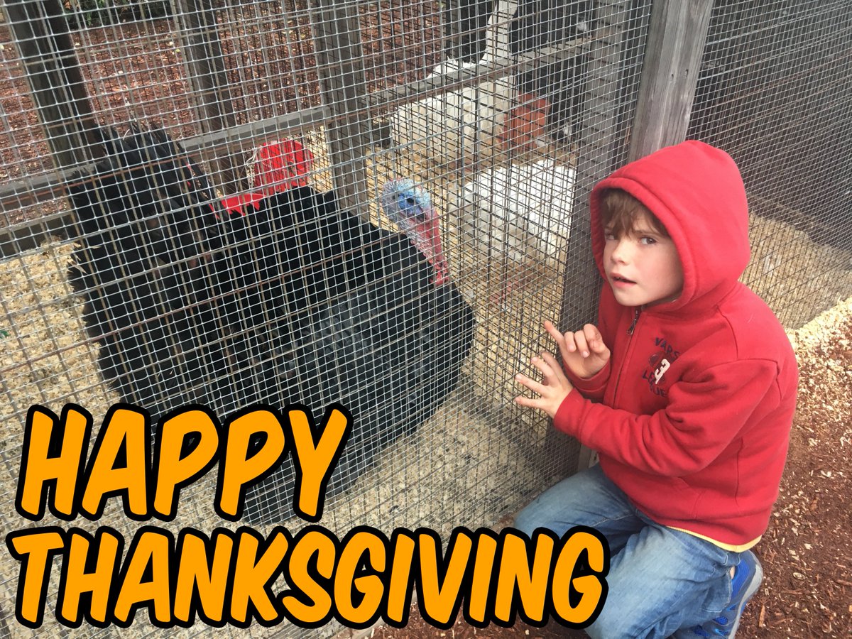 TheSnackShark's tweet photo. #HappyThanksgiving2018 to all my followers. https://t.co/HefmAOd0HT
