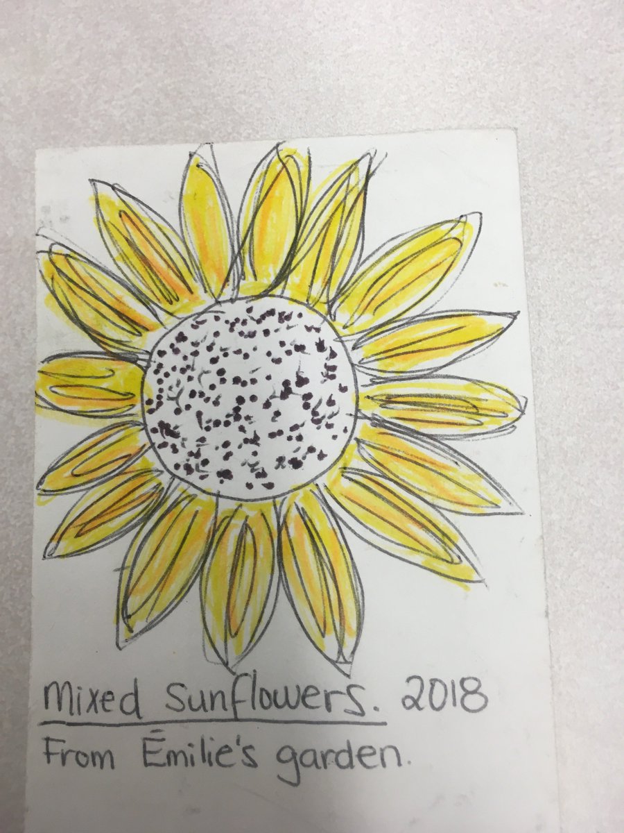 CedarviewOCDSB's tweet image. The EarthBUDS and the ASD Team would like to thank Emilie from GUO #waytogrow for a seed saving and soil composition workshop. We explored our gardens and had fun saving seeds.  Seeds are sowing and knowledge is growing here at CMS. @OCDSB