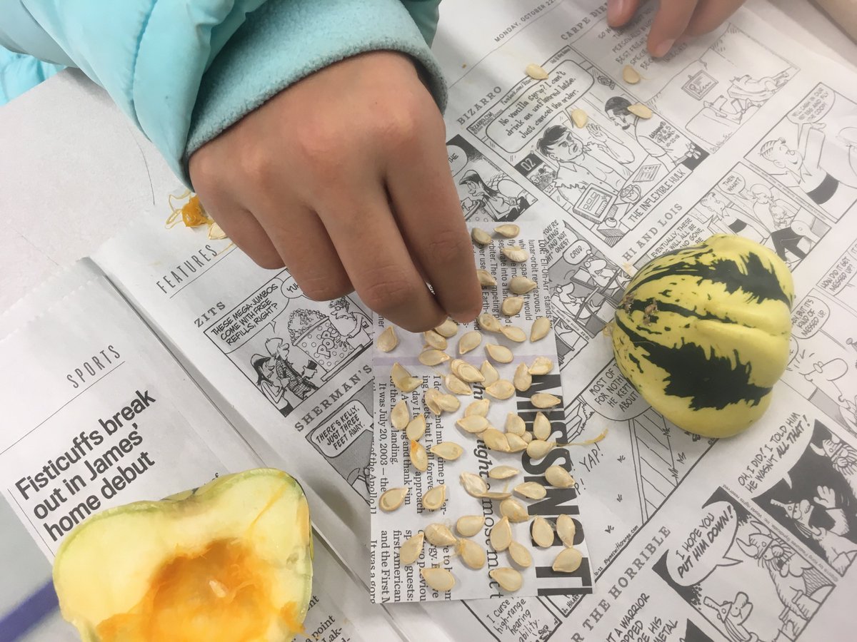 CedarviewOCDSB's tweet image. The EarthBUDS and the ASD Team would like to thank Emilie from GUO #waytogrow for a seed saving and soil composition workshop. We explored our gardens and had fun saving seeds.  Seeds are sowing and knowledge is growing here at CMS. @OCDSB