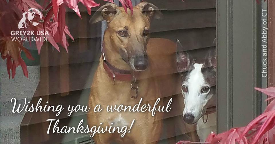 Protect Dogs - Yes on 13 (@voteyeson13) on Twitter photo 