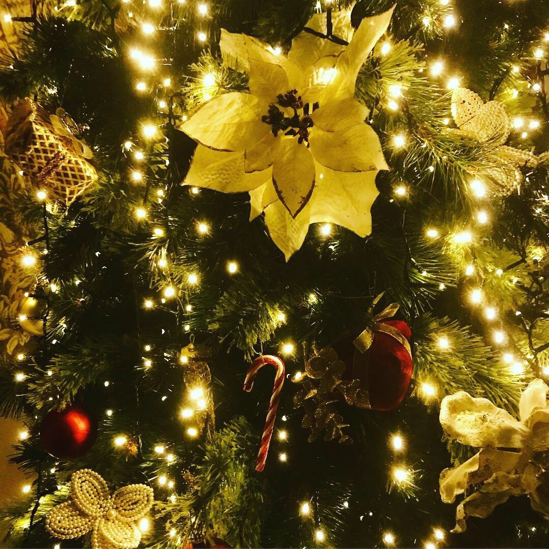 Christmas has come early to the <a href="/WarkworthHHotel/">Warkworth H Hotel</a> . We are in full festive swing here, pop in and enjoy a delicious meal from our new winter menu. #winter #Christmas #twinklylights #warkworth