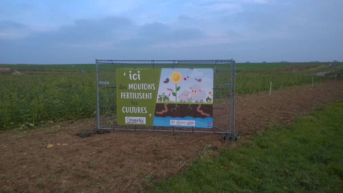 Greenotec's tweet photo. Les agriculteurs belges communiquent avec les consommateurs sur leurs pratiques  #A2C #agriculturedeconservation #Colzaassocié #Paturagedescouvertsparlesmoutons #plantescompagnes #biodiversite https://t.co/N86XxDXgM4