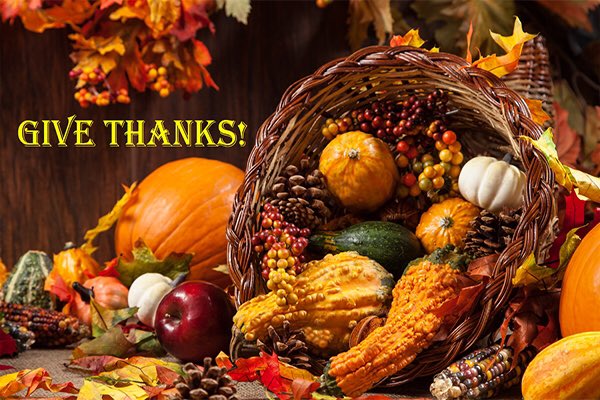 Sauteculinary's tweet photo. Happy Thanksgiving from Sauté Culinary Academy! https://t.co/EeSyL7zZcr
