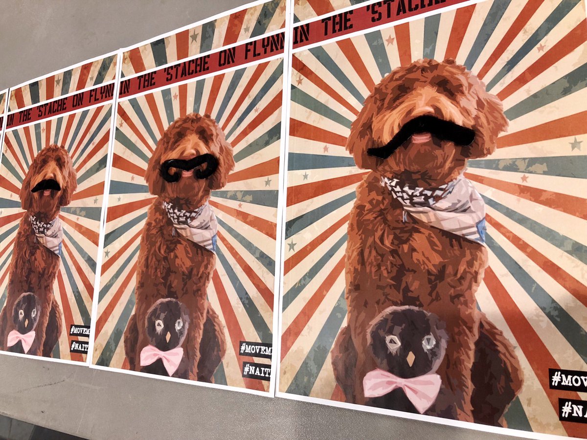 NAIT's tweet photo. Today’s #NAITmo event is on in South Lobby! The focus today is #mentalhealth. Pop by and ask questions and see @Flynntherapydog rock various moustaches 👌 #NAIT (the real pup is here too!) https://t.co/eCEJ3ie3ko
