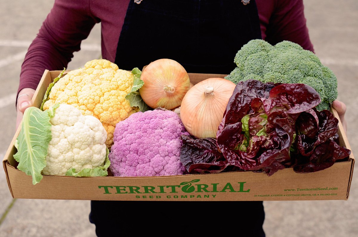 Territorial Seed Company On Twitter A Perfect Little Holiday